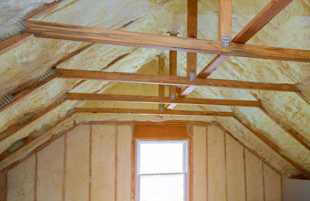 Best Specialty Insulation in Bagley, MN