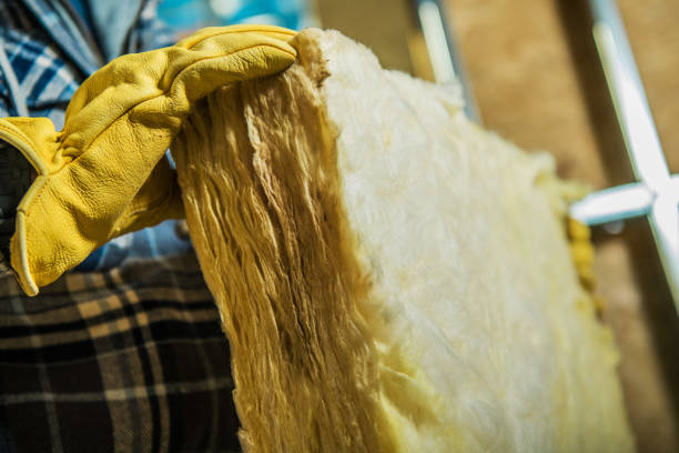 Best Insulation Installation Services in Bagley, MN